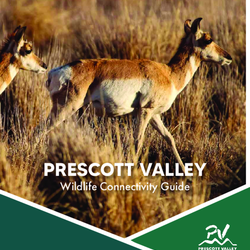 Prescott Valley Wildlife Connectivity Guide | Public Draft  thumbnail icon