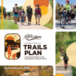 Fort Collins Strategic Trails Plan Draft for STAFF REVIEW thumbnail icon